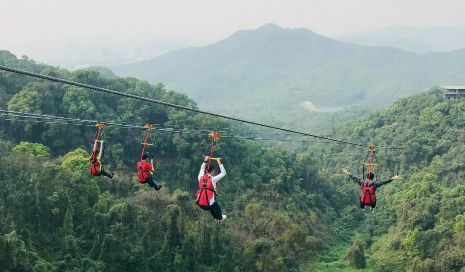 適合森林公園的游樂項(xiàng)目叢林滑索——簡(jiǎn)單好玩，成本還低